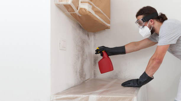 Professional Mold Removal technician working in Hanscom AFB, MA