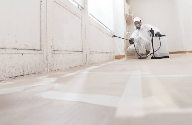 24/7 Emergency Mold Removal experts in Hanscom AFB, MA